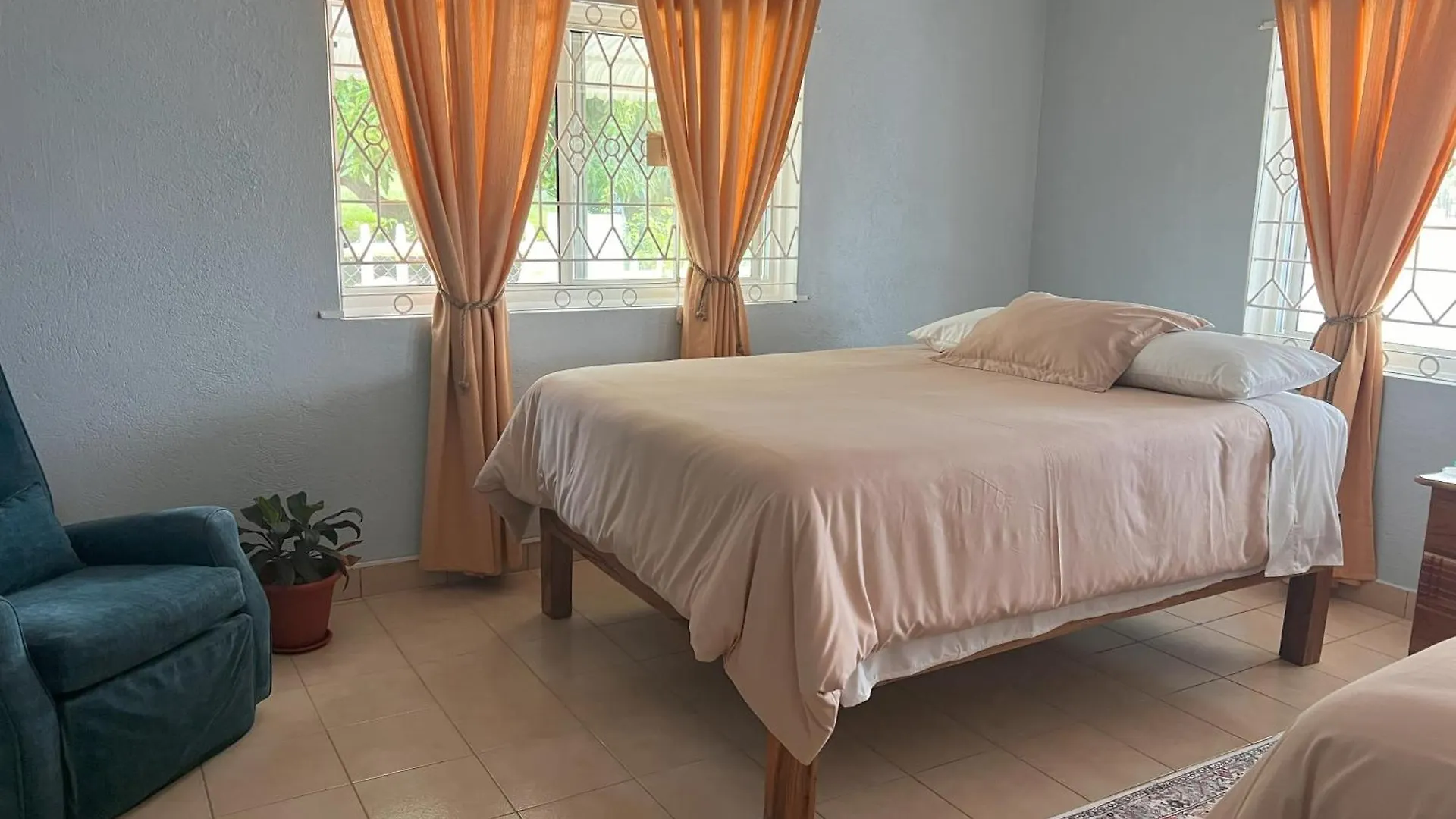 428 Boutique Guesthouse Boscobel Jamaica